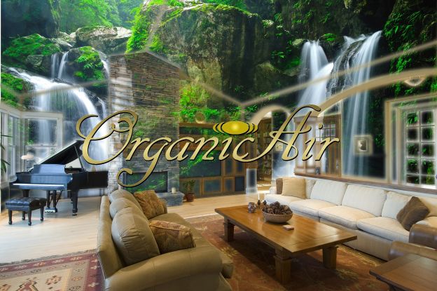 オーガニックエアー マイナスイオンコーティング施工後イメージ オーガニックエアーマイナスイオン空間